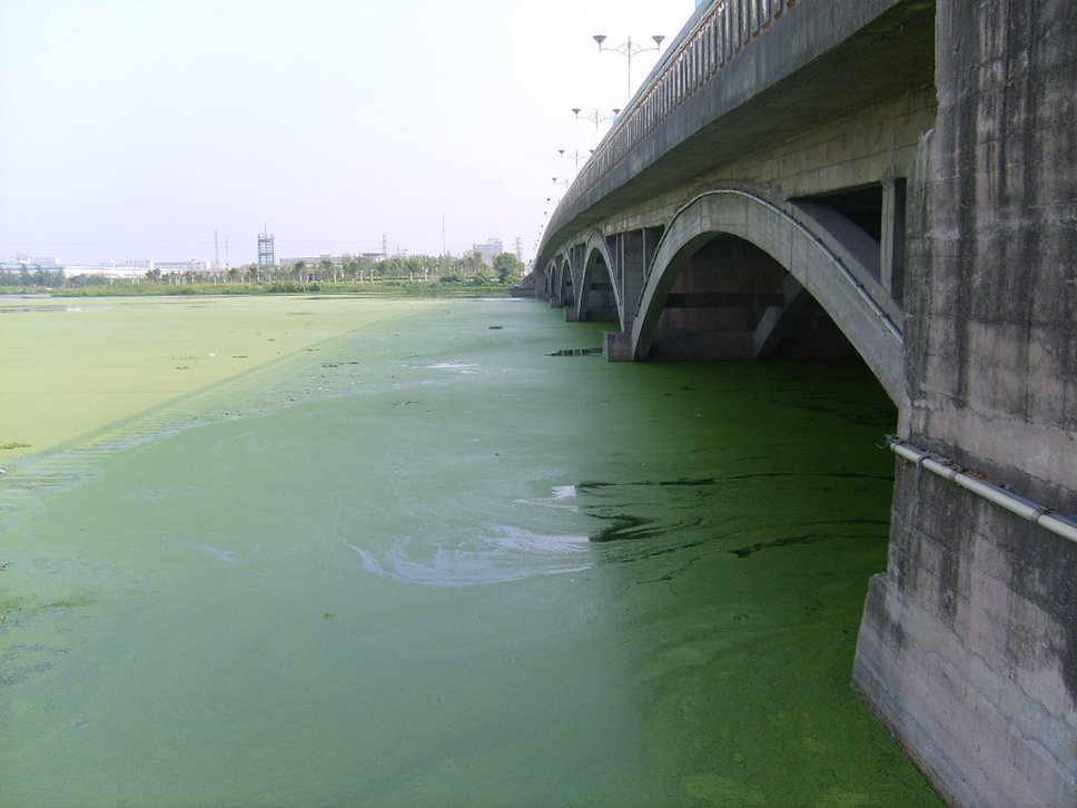 taihu water