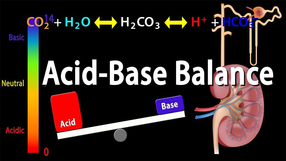 acid base balance